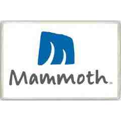 Mammoth Mountain Ski Area, LLC