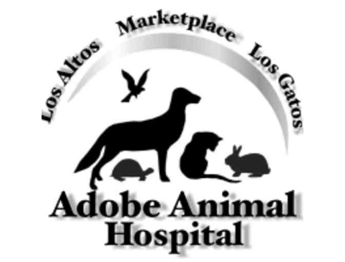 $100 at Adobe Animal Hospital