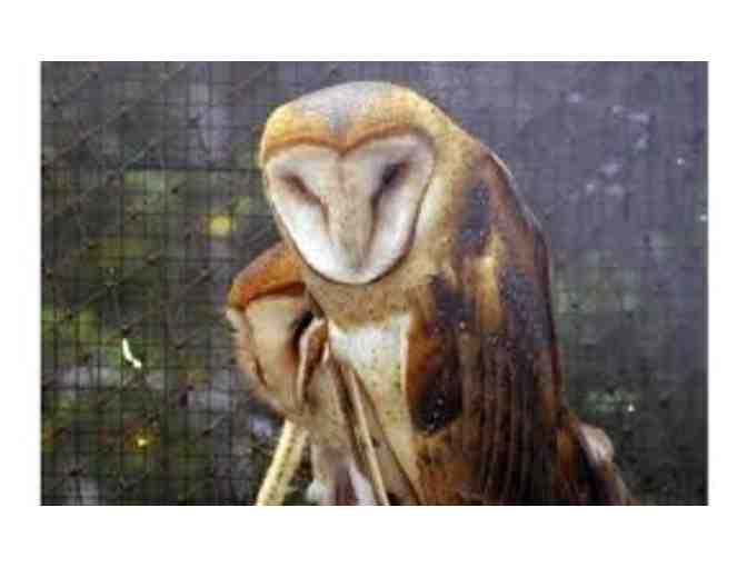 Three-Month Season Pass to Curiodyssey