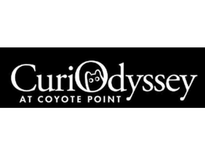 Three-Month Season Pass to Curiodyssey