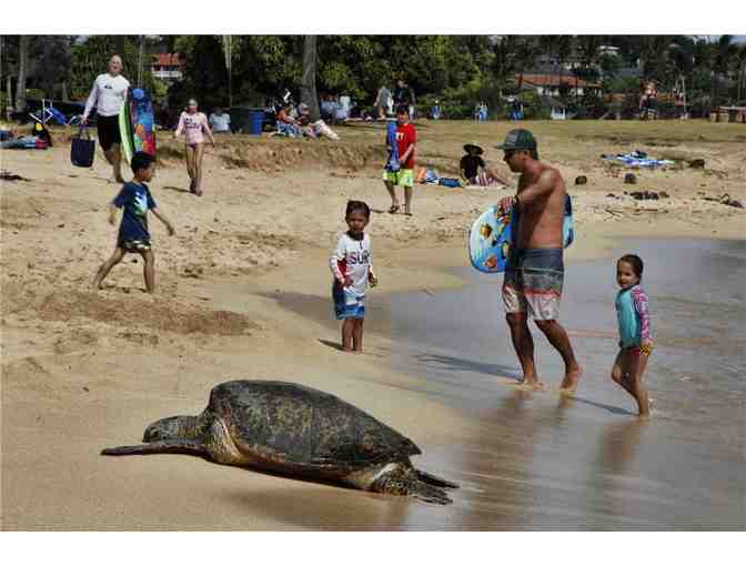 7 Nights in an Ocean-front Kauai Condo