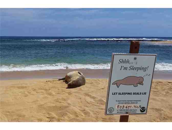 7 Nights in an Ocean-front Kauai Condo