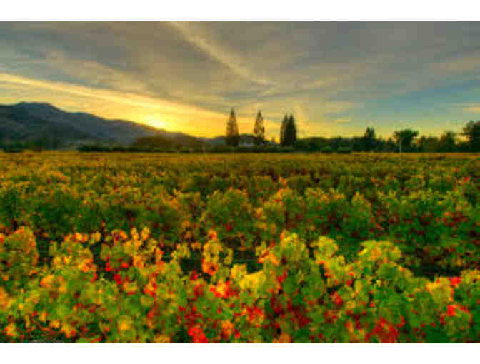 Goosecreek Wines - Cab and Chardonnay