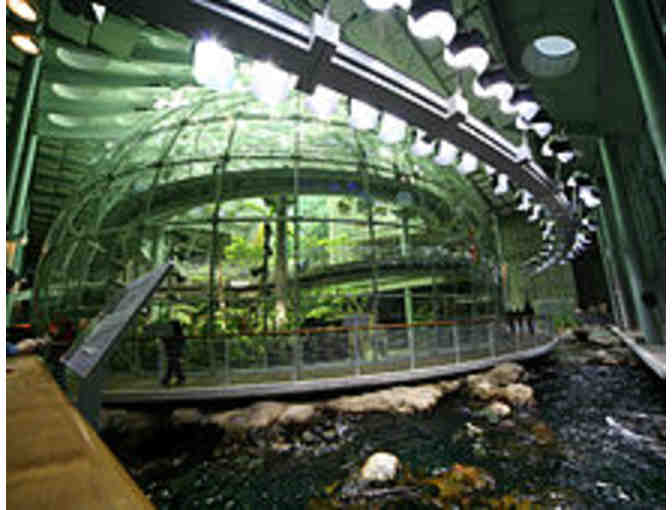 California Academy of Sciences for 2