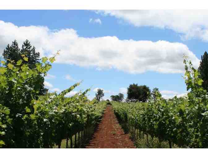 Tour and Tasting for Four at Summit Lake Vineyards & Winery in Napa