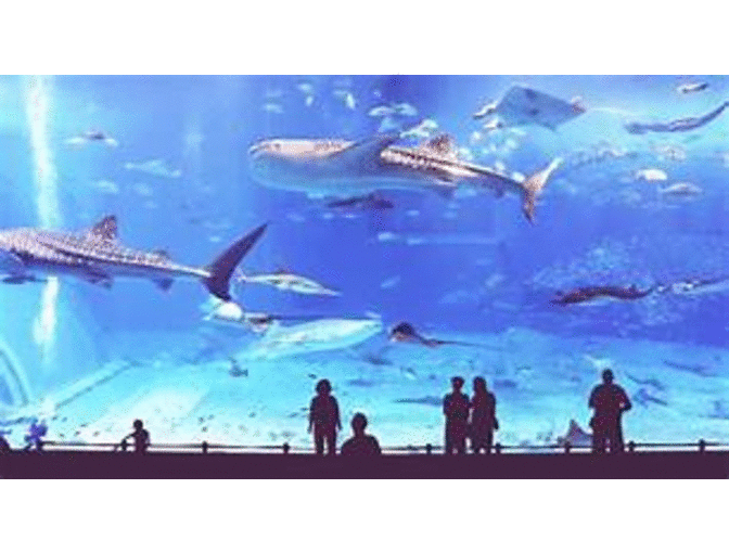 Monterey Bay Aquarium passes for 2 on 7.31.2021 at 1:30pm