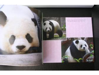 Bai Yun's Family- A Love Story