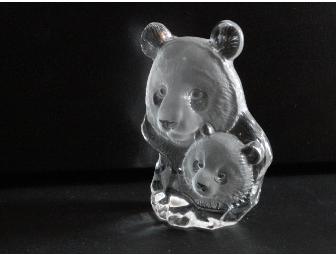 Glass Panda