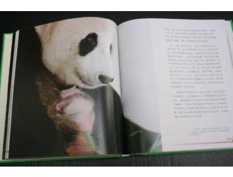 Love Panda Book