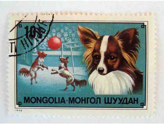Rare Papillon Postage Stamp from Mongolia - 1978