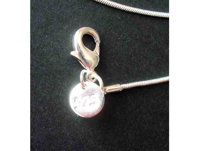 Sterling Silver Rope Chain Necklace -- New