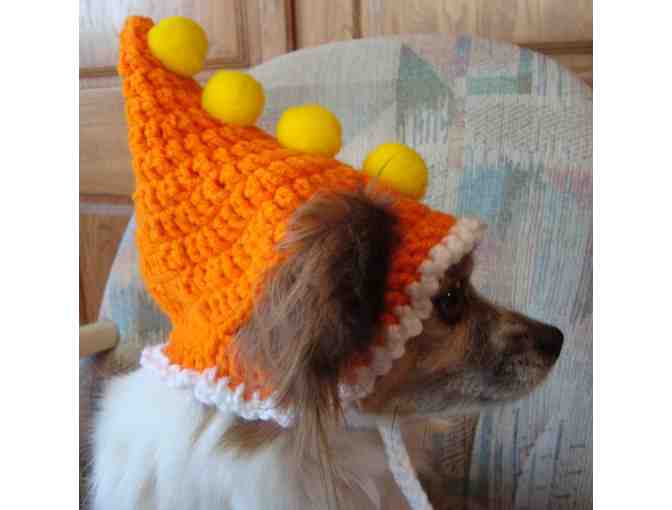 Fun Party Hat for Your Pet