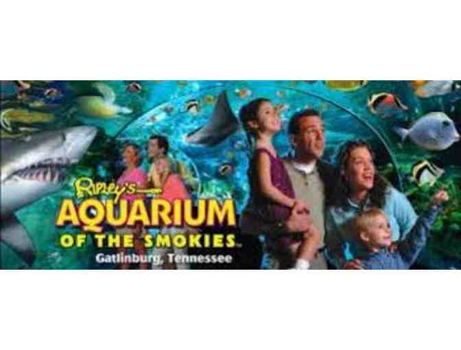 Gift Certificate for ONE-TIME FREE ADMISSION for 2 to Ripley's Aquarium of the Smokies