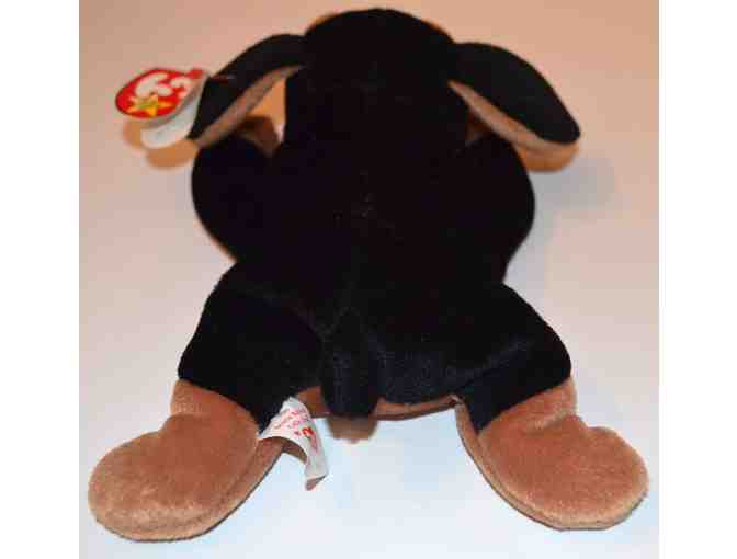 TY Beanie Baby 'Doby' the Dog -- Pre-Owned