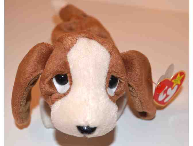 TY Beanie Baby 'Tracker' the Dog -- Pre-Owned
