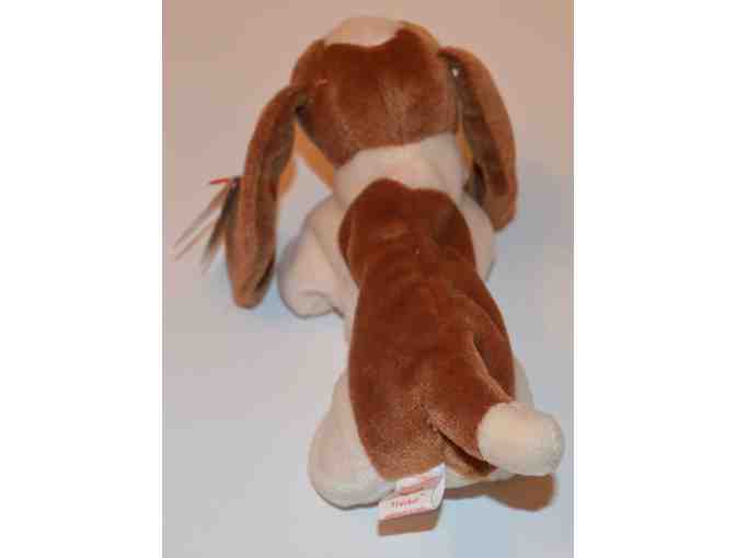TY Beanie Baby 'Tracker' the Dog -- Pre-Owned