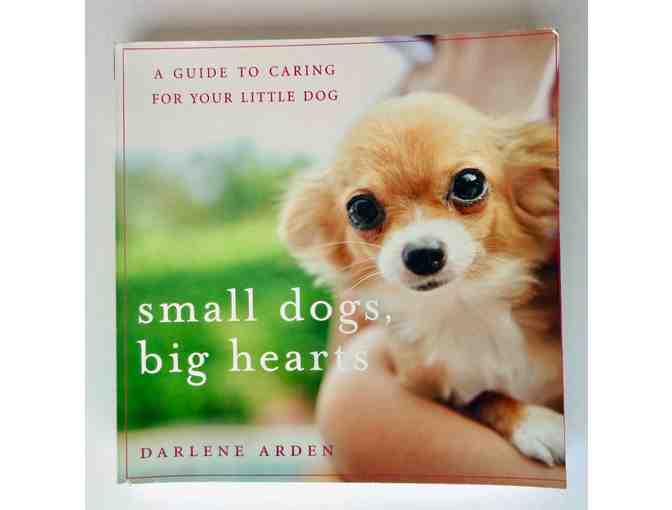 'Small Dogs, Big Hearts' by Darlene Arden