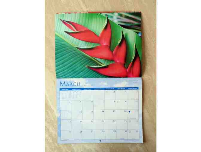 Flowers of Hawaii 2018 Calendar -- New