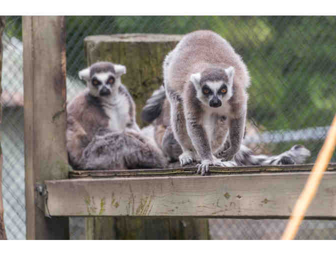 Long Island Game Farm Passes