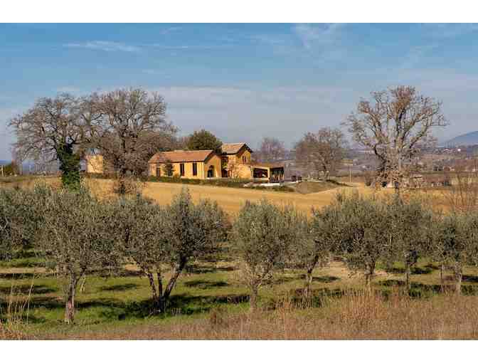 A Week's Stay in the Umbrian Hills of Italy - Four Bedroom, Two Bath Renovated Farmhouse