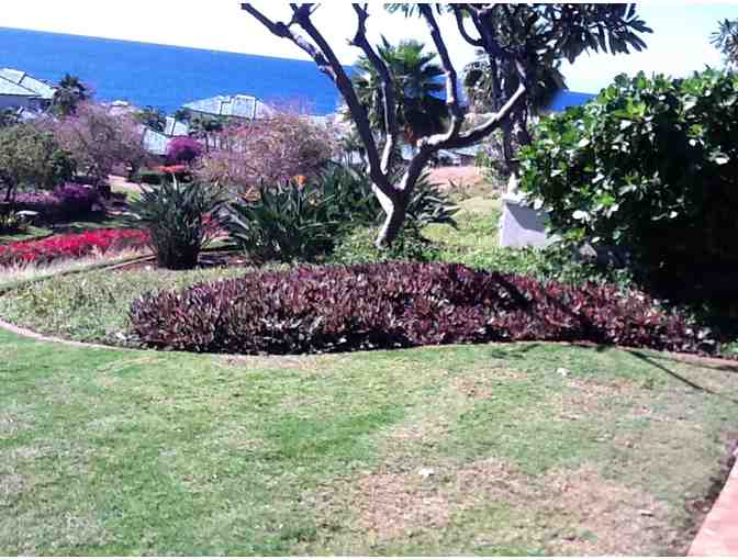 Two Week Hawaiian Private Two-Bedroom Homestay on the Island of Lanaii