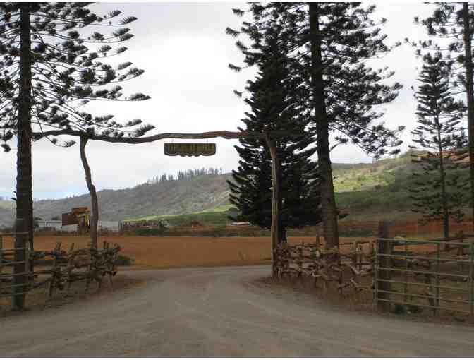 Two Week Hawaiian Private Two-Bedroom Homestay on the Island of Lanaii