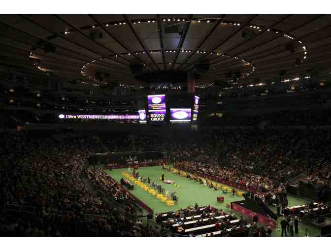 2016 Westminster Dog Show