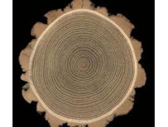 Black Locust Lumber ~ Custom Cut