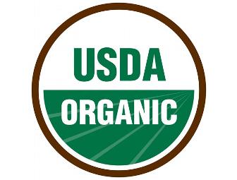 Shiloh Farms Essential Eating Sprouted Spelt Flour