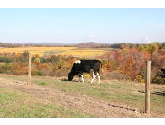 $75 Gift Certificate to Kencove Fence Supplies