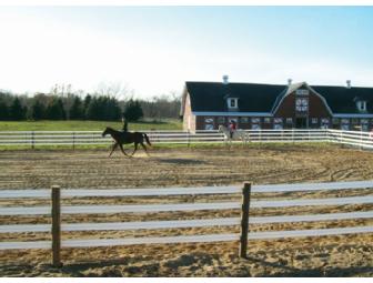 $75 Gift Certificate to Kencove Fence Supplies