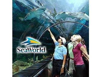 4 Tickets to SeaWorld San Diego