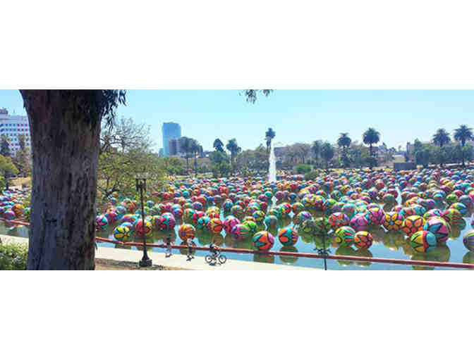 The Spheres at MacArthur Park Portraits of Hope Fish