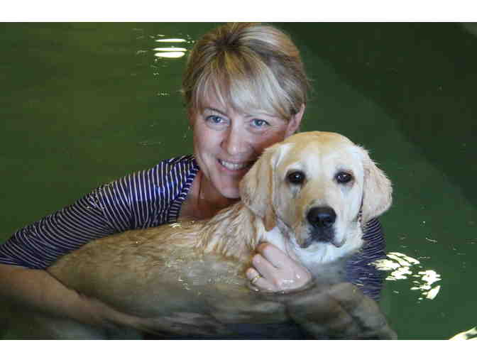Water Bark Wellness - 3 sessions
