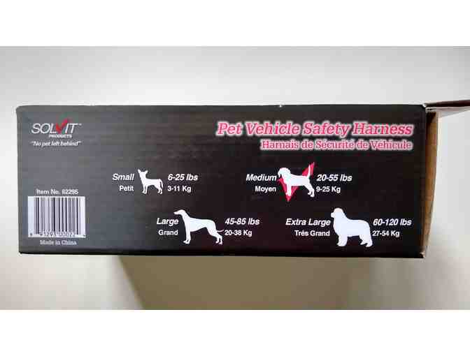 Pet Vehicle Safety Harness - Size Medium