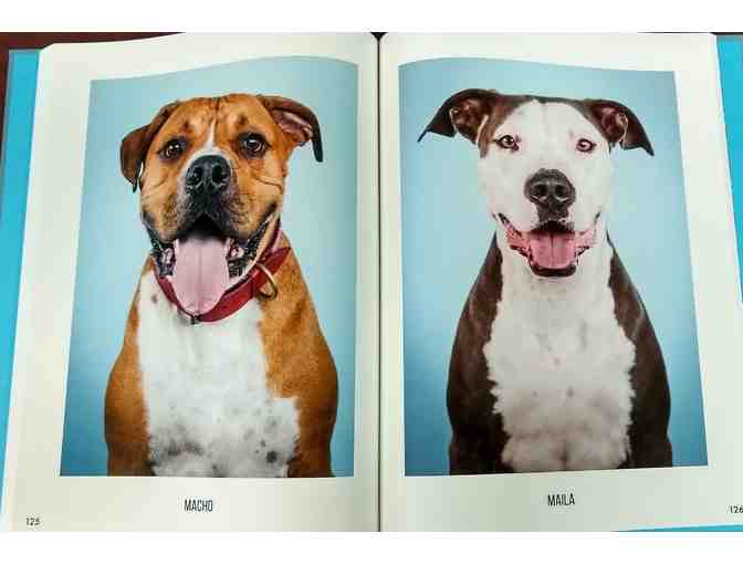 Book - The Big Book of Pit Bull Headshots from Hollywood (Signed)