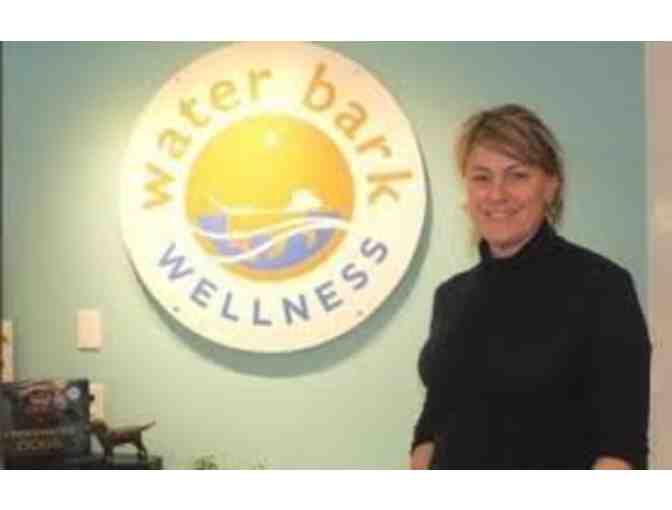 Waterbark Wellness $100 Gift Card