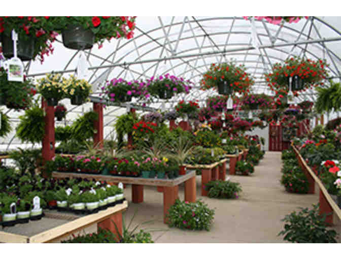 Plants Unlimited $100 Gift Certificate