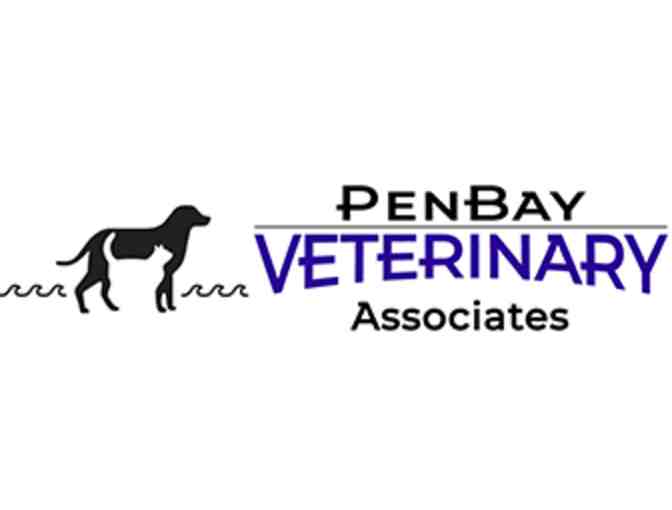 PenBay Veterinary Associates Annual Bloodwork Gift Certificate