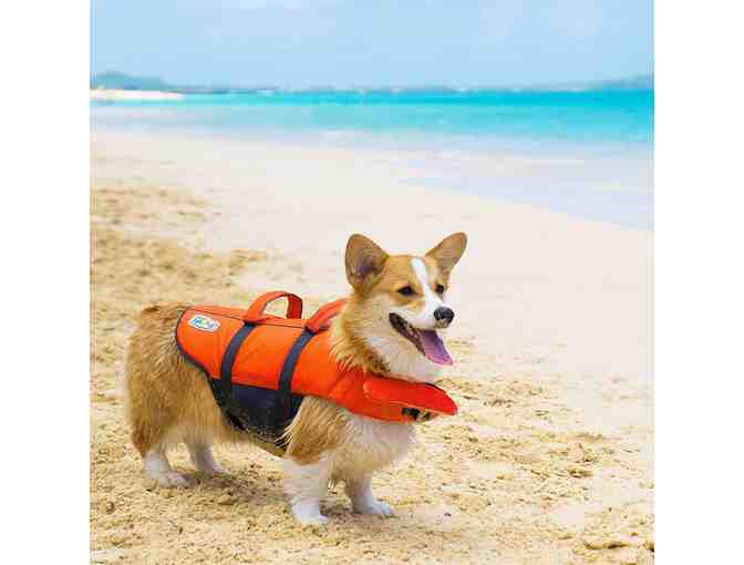 Dog Lifejacket - Size Small