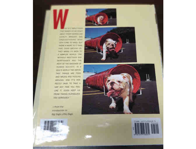Book - 'Big Dogs LIttle Dogs'