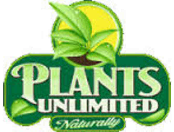 Plants Unlimited $50 Gift Certificate #1