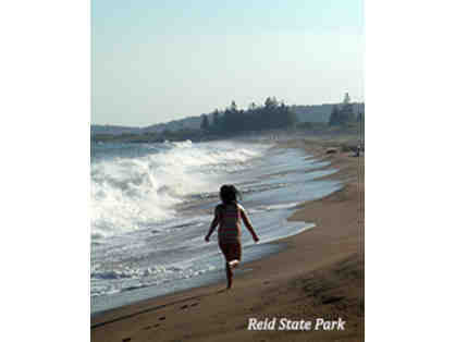 Maine State Park Day Passes - Set of 4