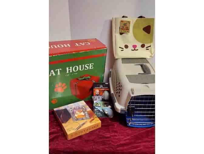 Carrier and Novelty Pet House with Extras