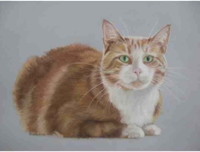 Portrait of 'YOUR PET' in pastels by artist Gail Fairbanks