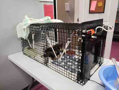 BE A HERO- Purchase a Hospital Basket