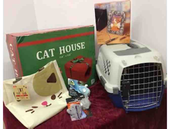 Carrier and Novelty Pet House with Extras