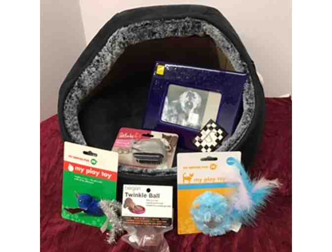 Hooded Pet Bed with Toys and Frame