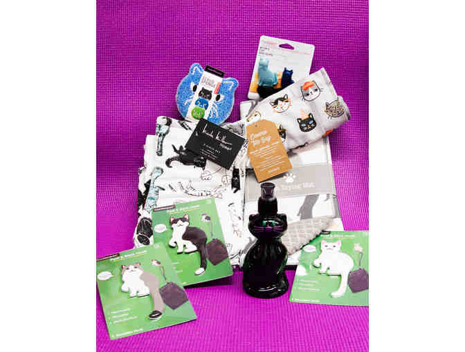 Kitties in the Kitchen and Beyond