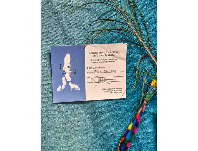 More Treats and Toys for Your Lil' Sweet! PLUS Island Animal Gift Certificate